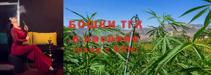 Бошки Шишки VHQ  Нижние Серги 